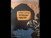 Птиць Чили Пабло Неруда