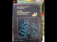 Russian phraseology in pictures MI Dubrovin, S. Vlakhov