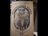 Домашната котка