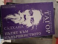 Садхана Пътят към съвършенството