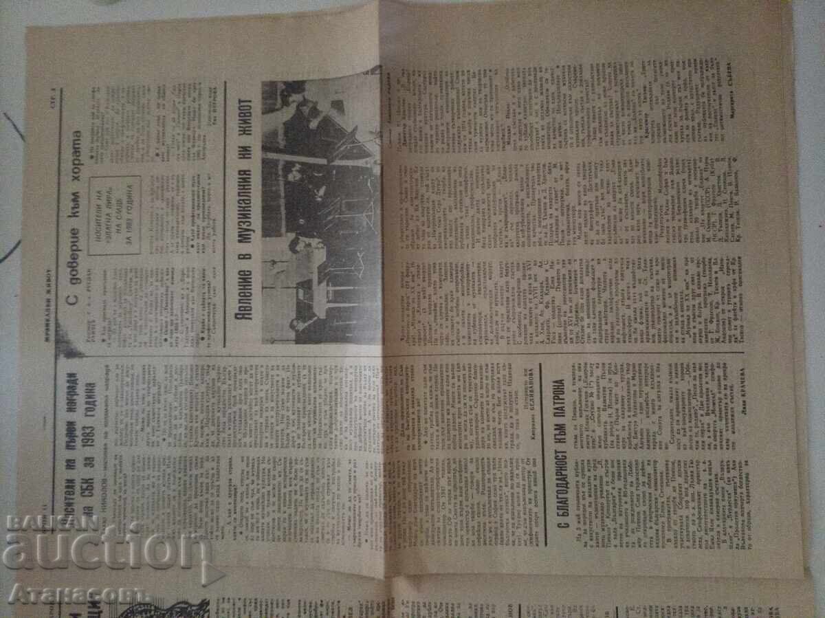 Auction  Musical Life Newspaper May 18, 1984