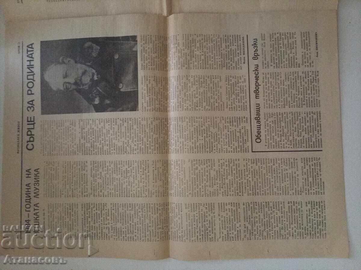 Musical Life Newspaper May 18, 1984 - 5