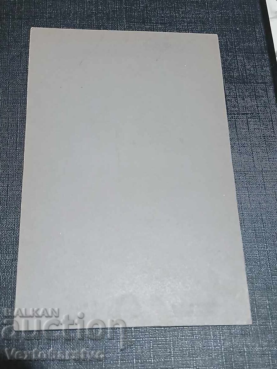 Fotografie-Fotografie veche-Carton-INTERIOR,MODĂ,PERSONALITĂȚI cu preț € 9.00 | 17.60 BGN Fotografie-Fotografie veche-Carton-INTERIOR,MODĂ,PERSONALITĂȚI cu preț € 9.00 | 17.60 BGN