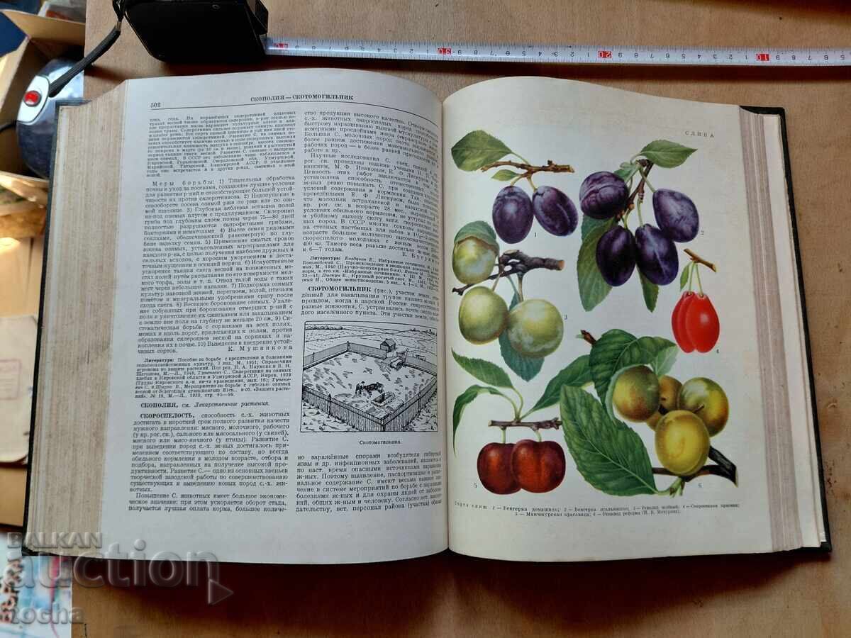 Enciclopedie, gospodărie