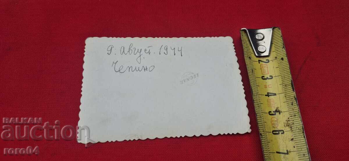 ИВАН ВЛАЕВ - АРХИВ - ПАЗАРДЖИК - 6