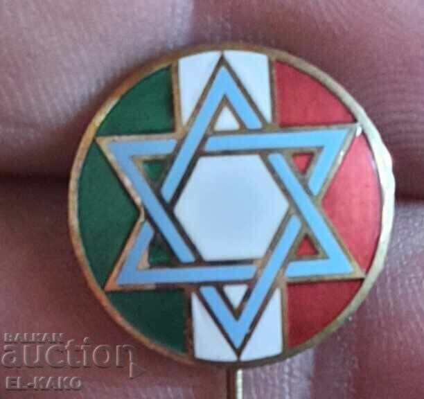 Σύγχρονη καρφίτσα Ιταλίας