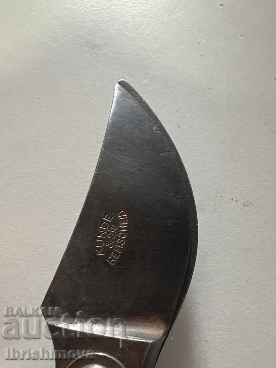 Auction  Vine scissors