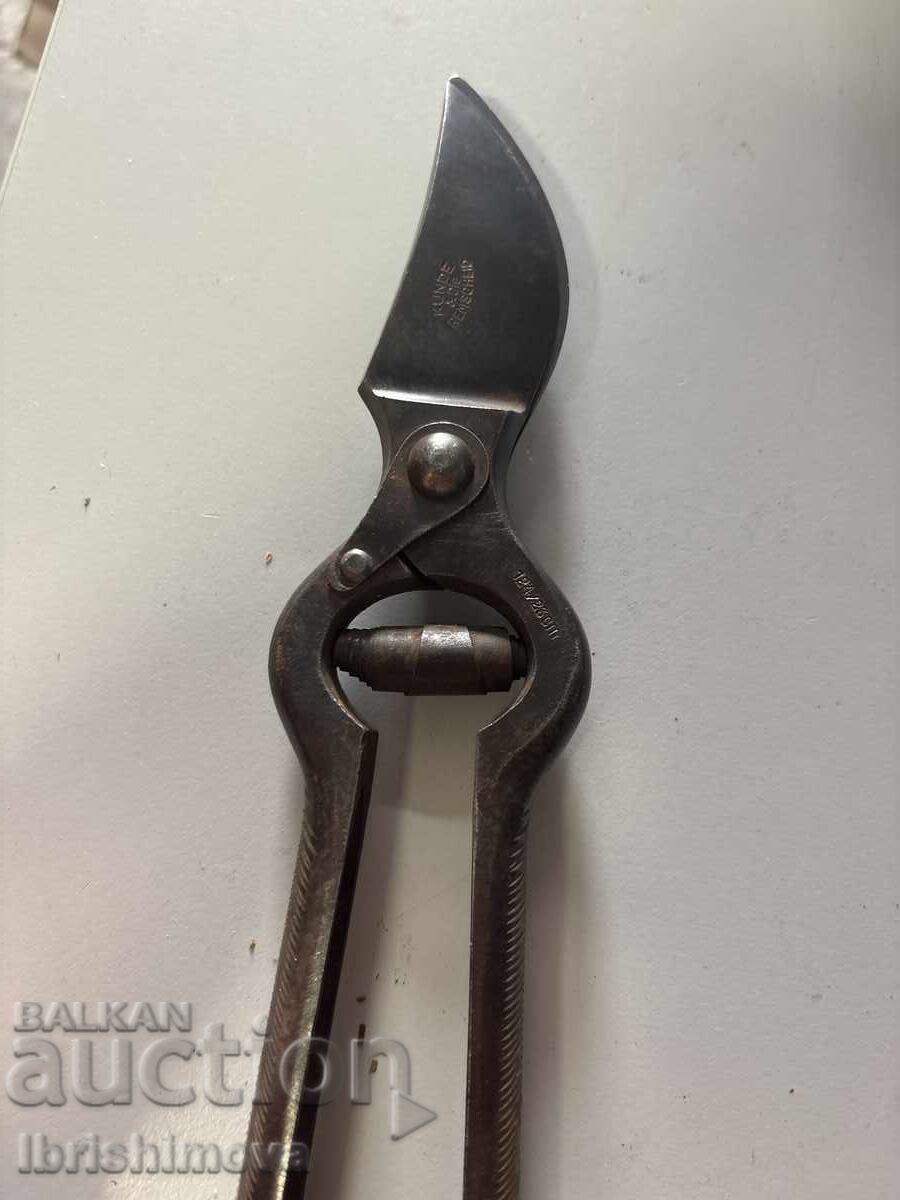Vine scissors