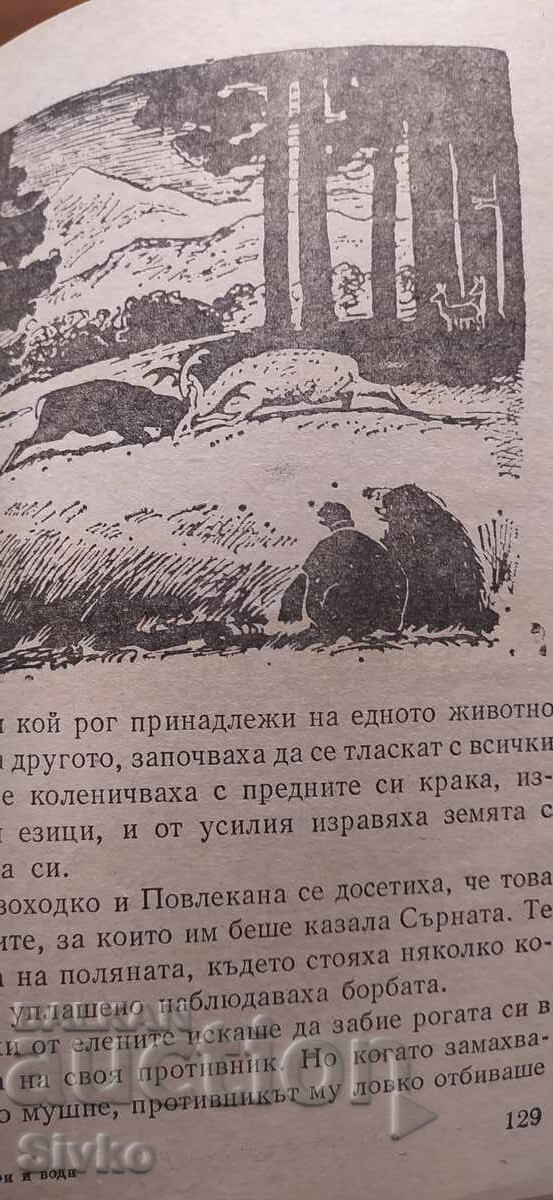 Licitație Prin ape și păduri, Emilian Stanev, numeroase ilustrații Licitație Prin ape și păduri, Emilian Stanev, numeroase ilustrații