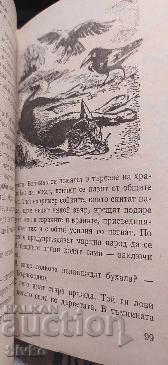 Prin ape și păduri, Emilian Stanev, numeroase ilustrații - 5 Prin ape și păduri, Emilian Stanev, numeroase ilustrații - 5
