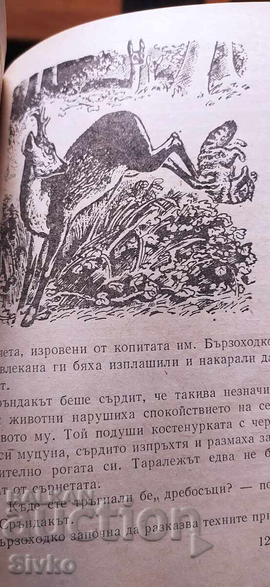 Prin ape și păduri, Emilian Stanev, numeroase ilustrații - 6 Prin ape și păduri, Emilian Stanev, numeroase ilustrații - 6
