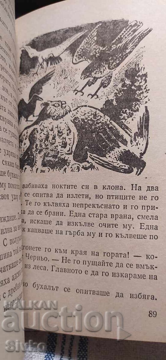 Prin ape și păduri, Emilian Stanev, numeroase ilustrații - 7 Prin ape și păduri, Emilian Stanev, numeroase ilustrații - 7