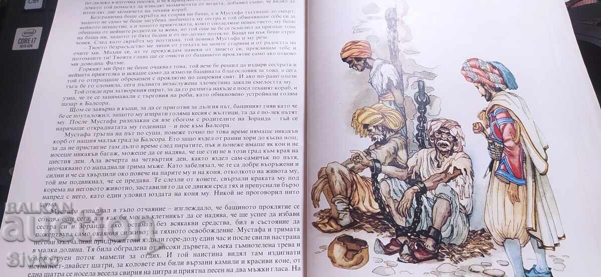 Fairy Tales, Wilhelm Hauff, many illustrations - 7