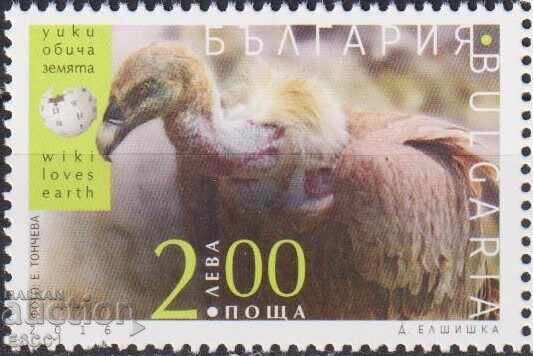 Marcă pură Fauna Wiki iubește pământul Vultur 2016 din Bulgaria