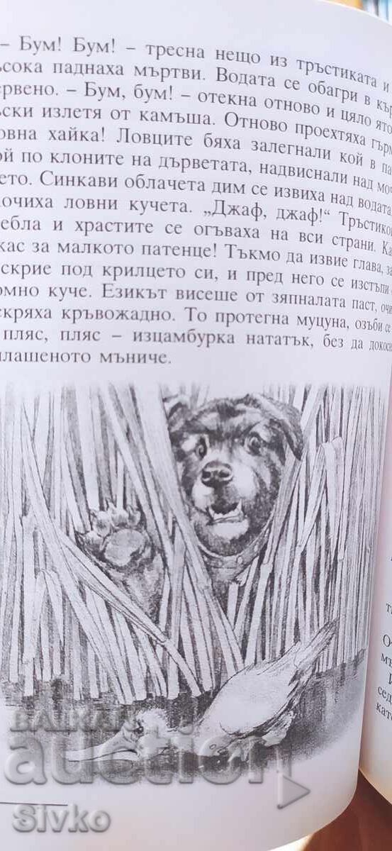 Delivery of Fairy Tales, Hans Christian Andersen, many illustrations