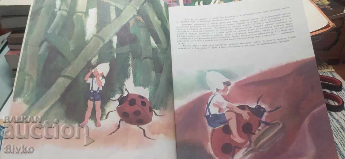 Licitație Aventurile lui Ciponosko, Iordan Miltenov