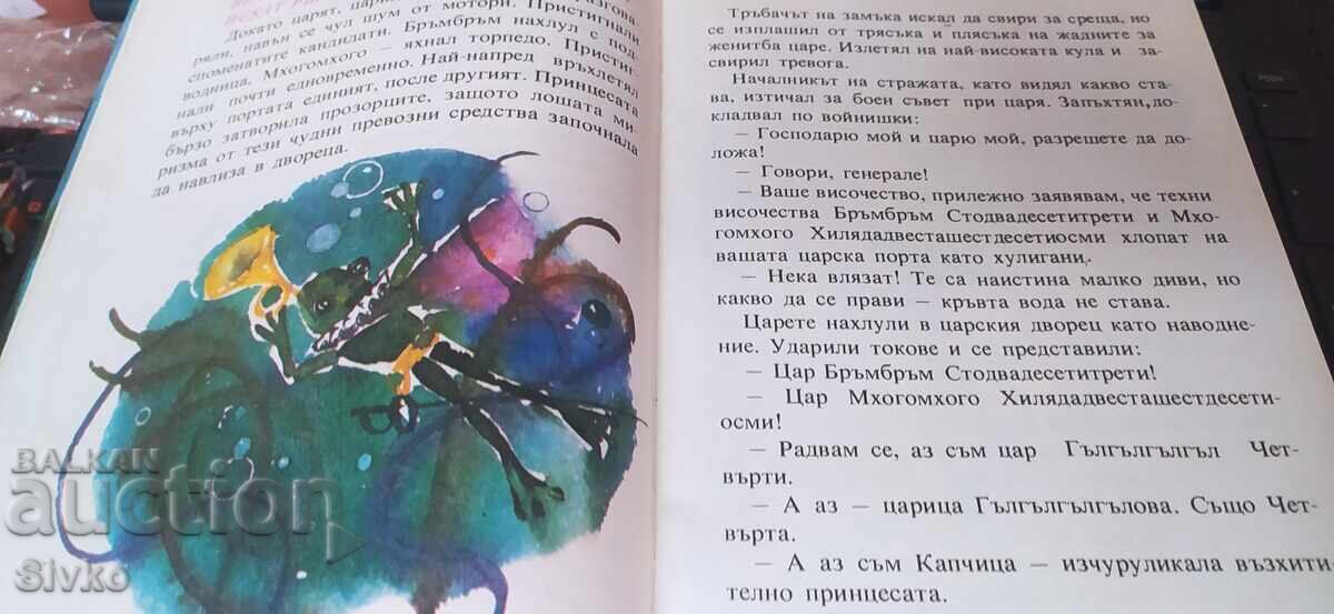 Принцеса Капчица, много илюстрации - 5