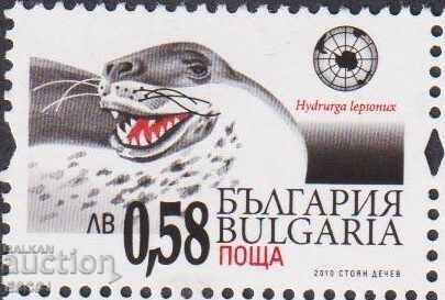 Καθαρή σειρά Ανταρκτική Φώκια 2011 από τη Βουλγαρία