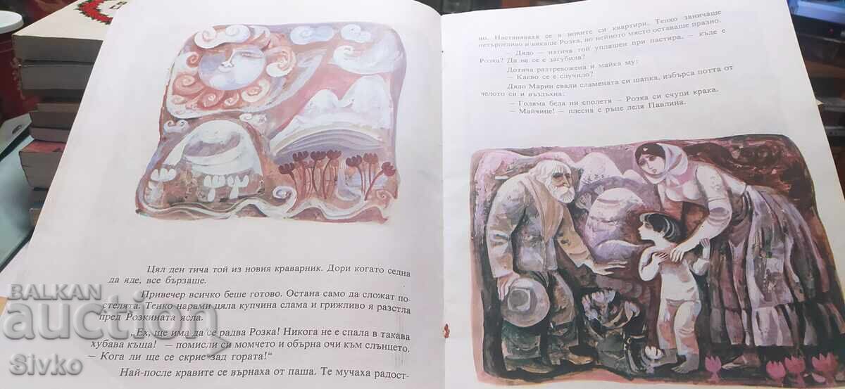 Аукцион Розка, Таня Касабова, много илюстрации, първо издание
