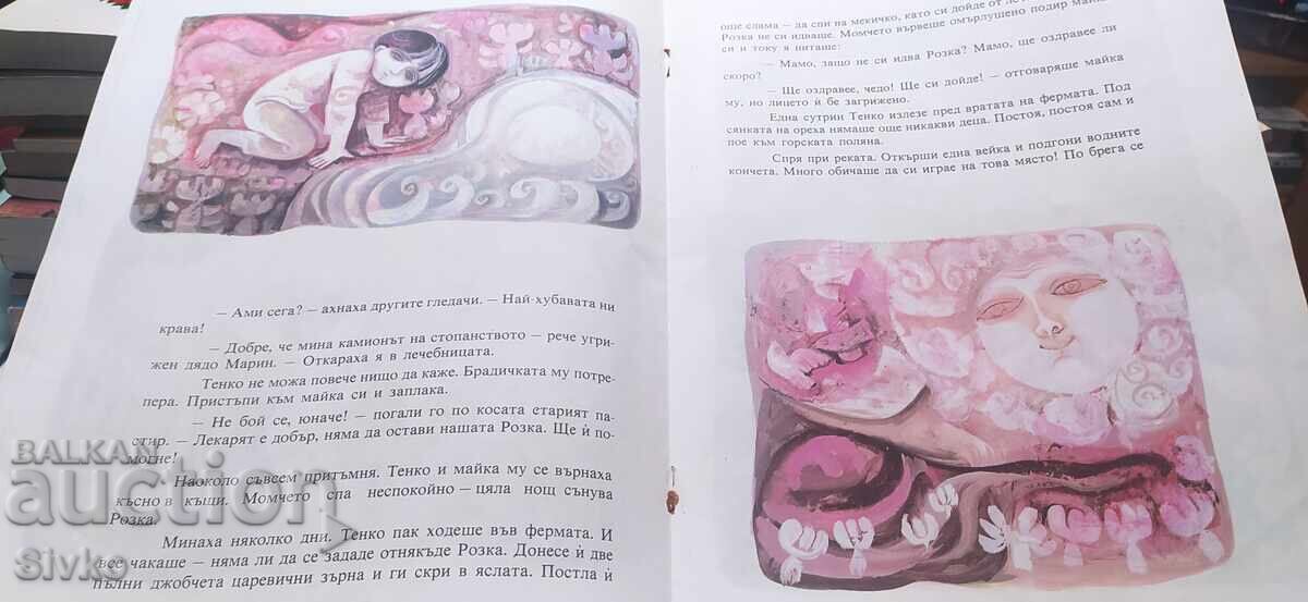 Доставка на Розка, Таня Касабова, много илюстрации, първо издание