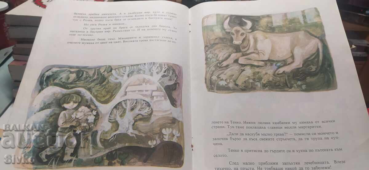 Розка, Таня Касабова, много илюстрации, първо издание - 5