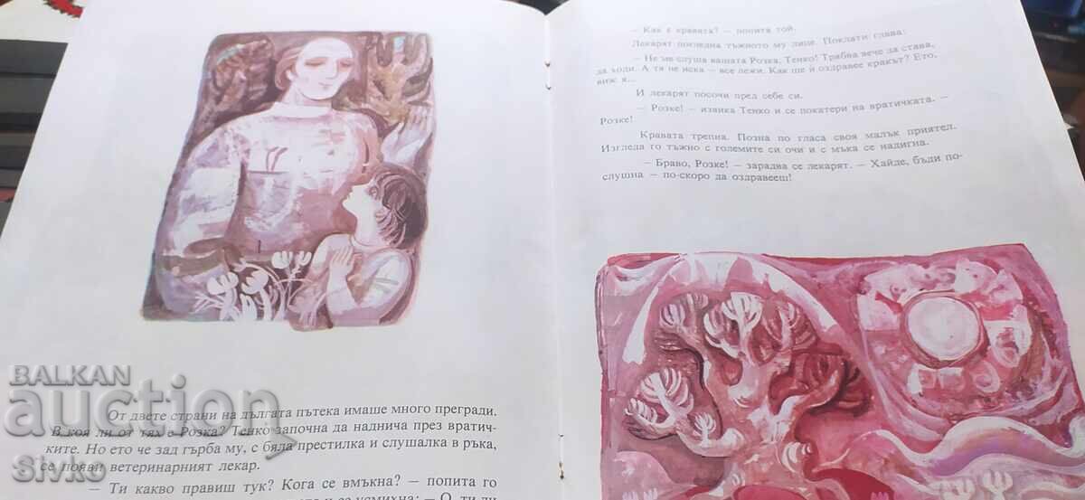 Розка, Таня Касабова, много илюстрации, първо издание - 6