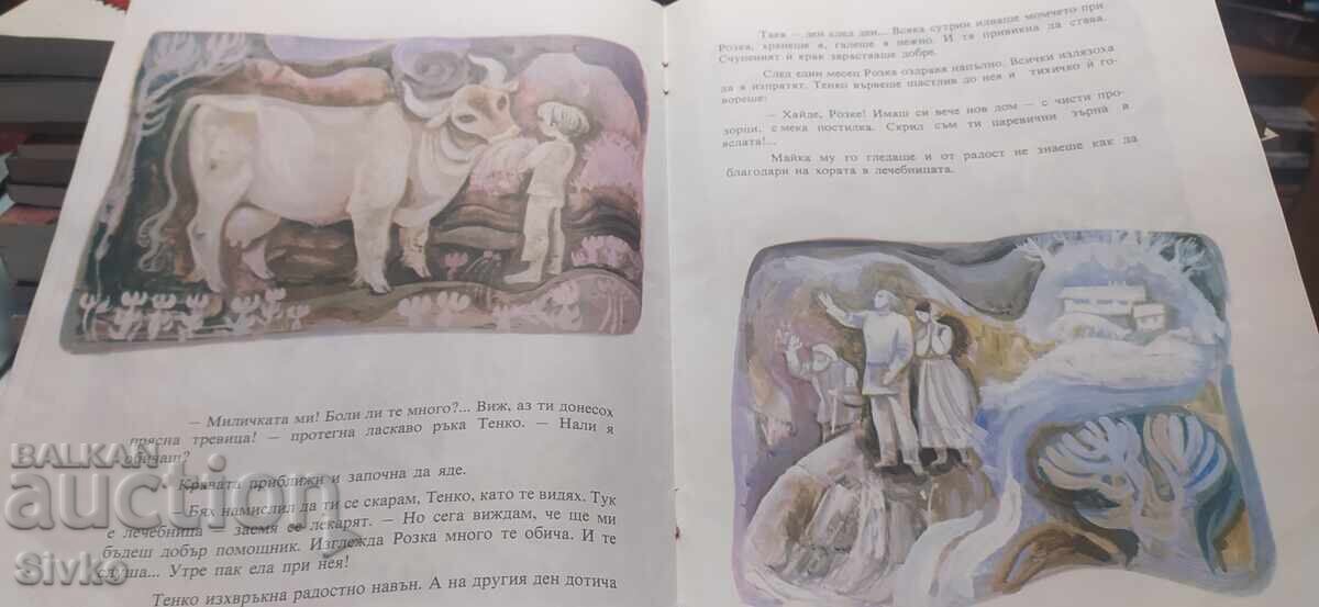 Розка, Таня Касабова, много илюстрации, първо издание - 7