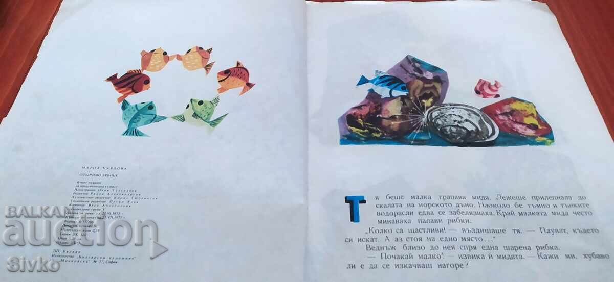 The Sunny Little Grain, Maria Pavlova, many illustrations - 7