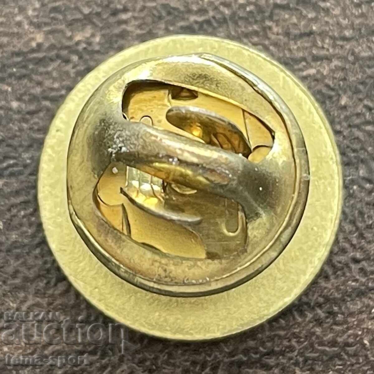 2474 Bulgaria insignă club de fotbal Vihar Valchi Dol cu preț € 5.00 | 9.78 BGN