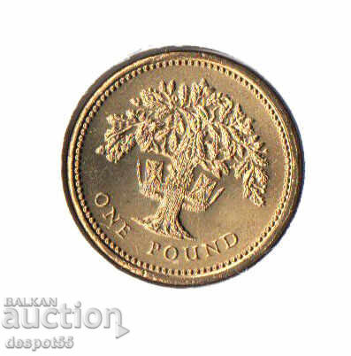 1992. Great Britain. Numismatic cover - British pound with price € 6.50 | 12.71 BGN