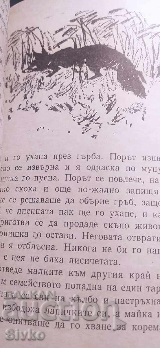 Чернишка, Емилиян Станев, много илюстрации с цена € 1.99 | 3.89 лв.
