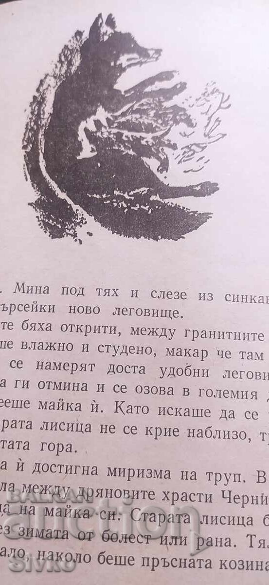 Аукцион Чернишка, Емилиян Станев, много илюстрации