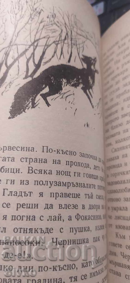Доставка на Чернишка, Емилиян Станев, много илюстрации