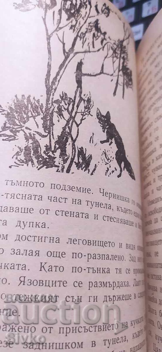 Чернишка, Емилиян Станев, много илюстрации - 5