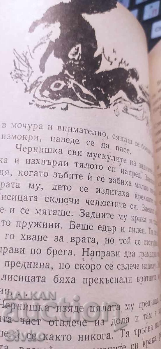Чернишка, Емилиян Станев, много илюстрации - 6