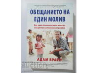 Promisiunea unui creion - Adam Braun