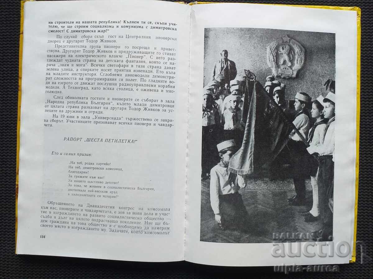 Licitație Propagandă socialistă DPO Septemvriice Licitație Propagandă socialistă DPO Septemvriice