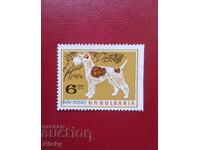 1964 Fokster'єr, bez zubіv