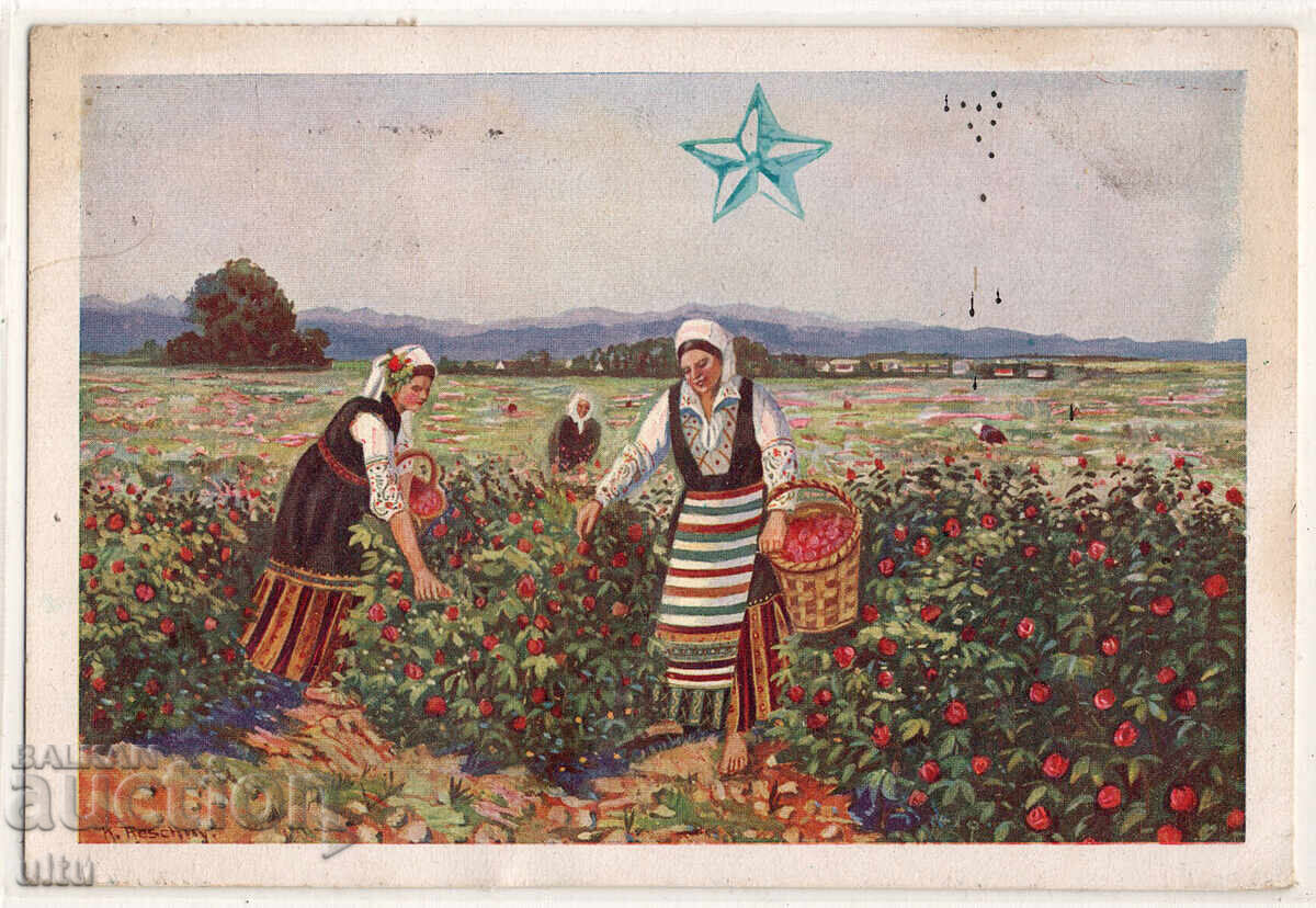 Bulgaria, Kazanlak region, Rose picking, 1935, postally used