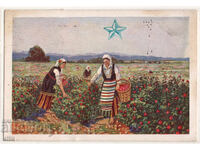 България, Казанлъшко, Розобер, 1935 г., пътувала