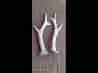 Antler lot