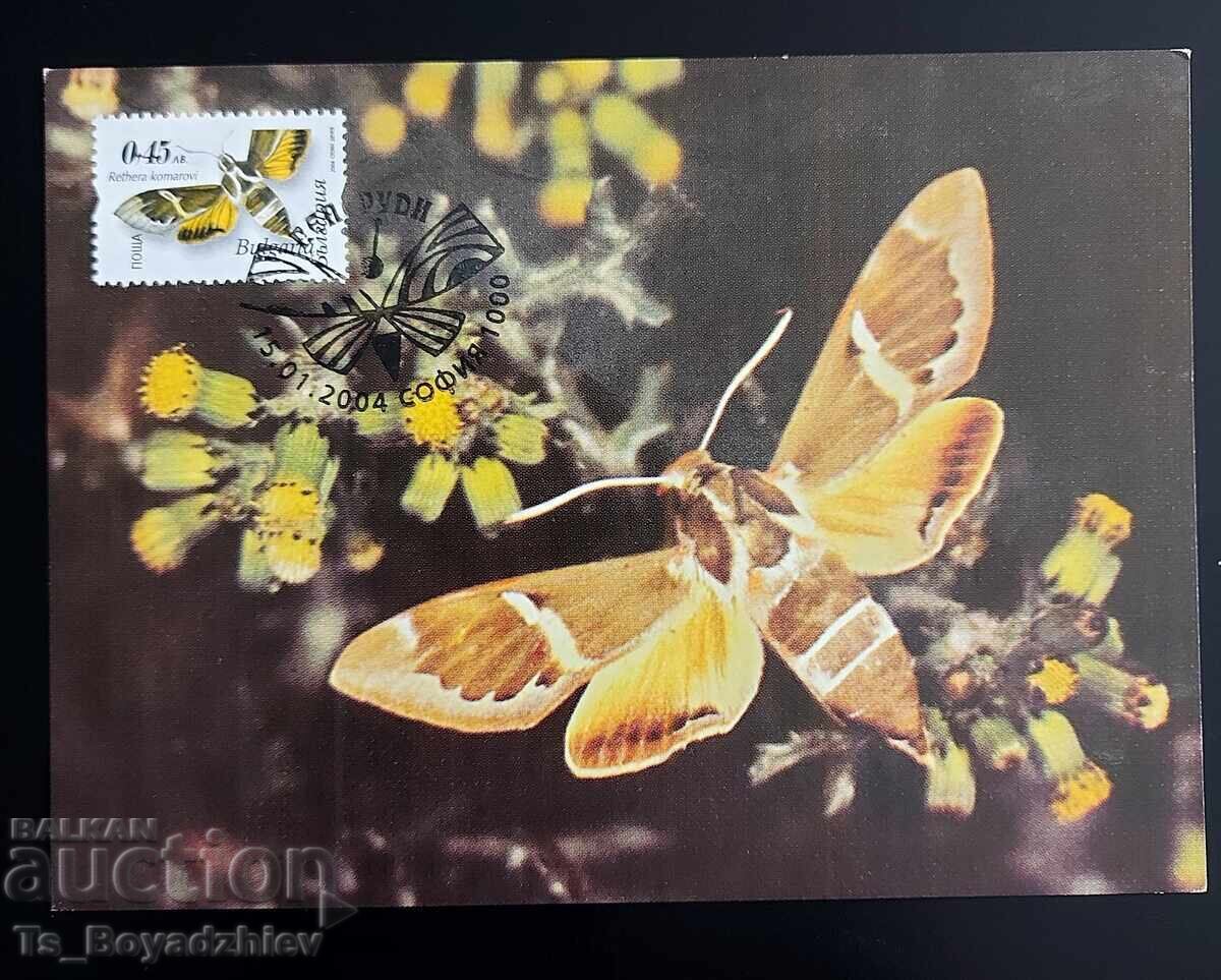 Licitație 4 bucăți Cărți-maxim, Albine, Bulgaria Licitație 4 bucăți Cărți-maxim, Albine, Bulgaria