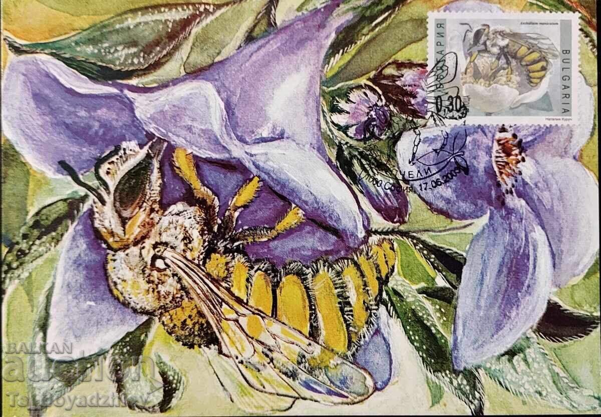 4 Maximum cards, Bees, 2003, Bulgaria with price € 12.00 | 23.47 BGN 4 Maximum cards, Bees, 2003, Bulgaria with price € 12.00 | 23.47 BGN