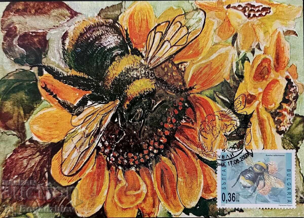 Auction 4 Maximum cards, Bees, 2003, Bulgaria Auction 4 Maximum cards, Bees, 2003, Bulgaria