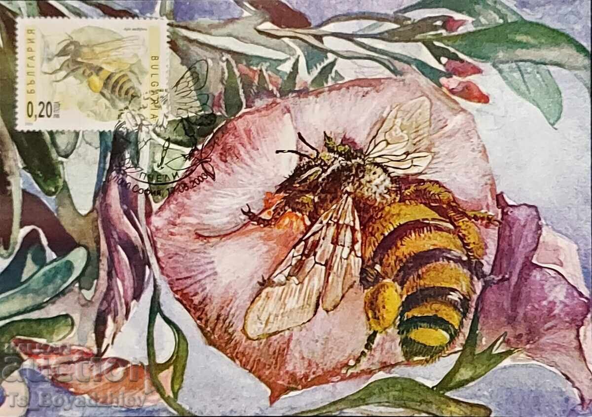 4 Maximum cards, Bees, 2003, Bulgaria 4 Maximum cards, Bees, 2003, Bulgaria