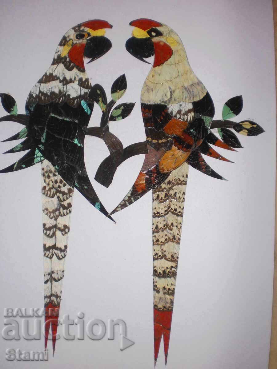 Papagali - serie de tablouri din aripi de fluture cu preț € 25.00 | 48.90 BGN