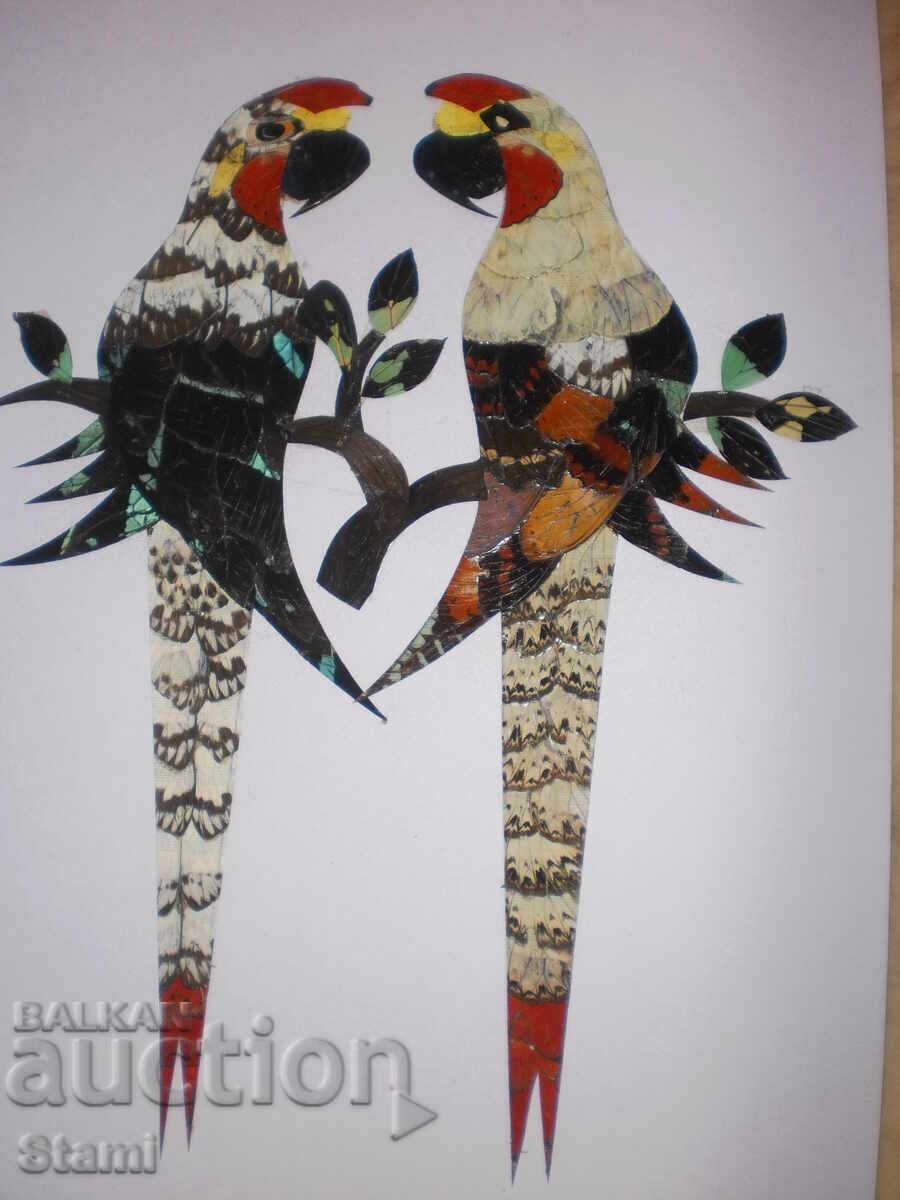 Papagali - serie de tablouri din aripi de fluture