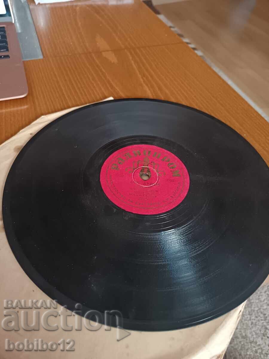 Παλαιός δίσκος σέλακ Mambo - 5 Παλαιός δίσκος σέλακ Mambo - 5