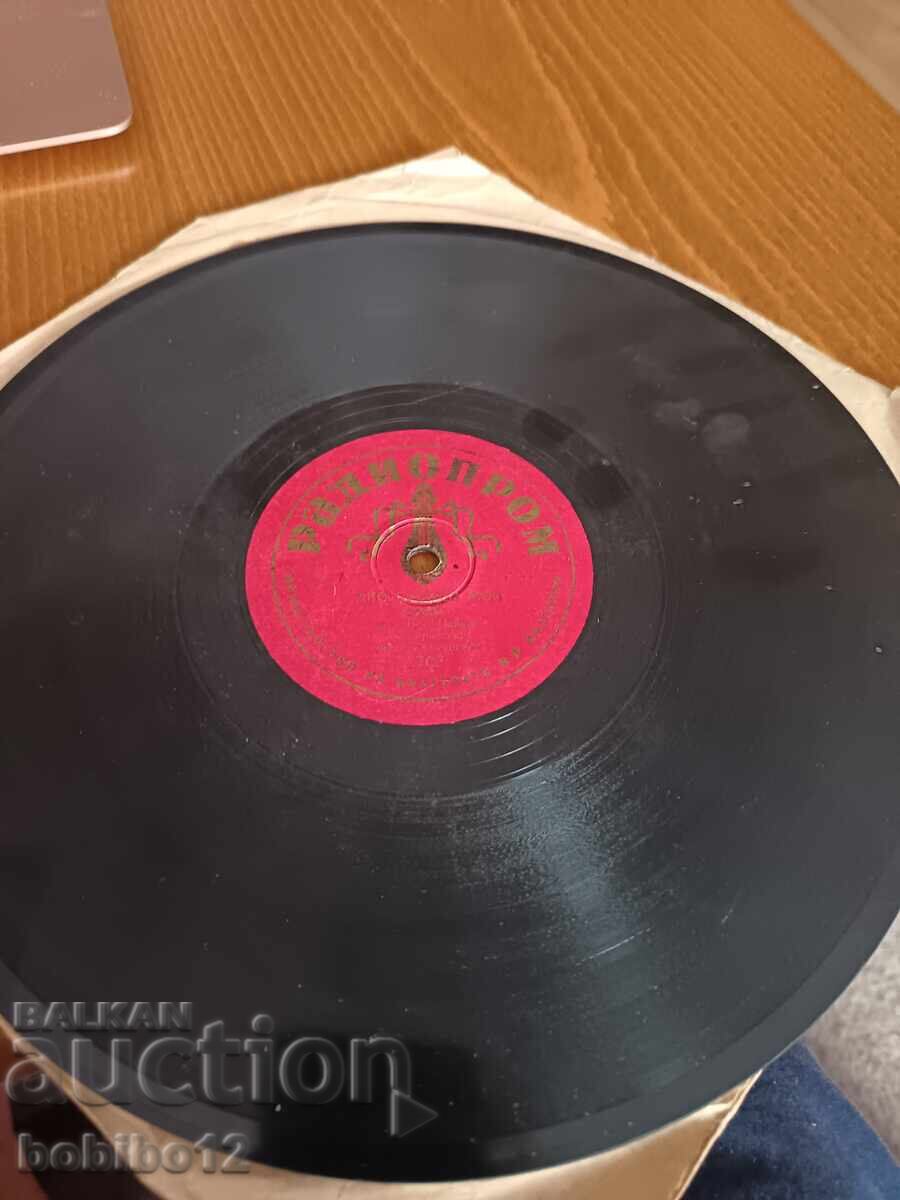 Παλαιός δίσκος σέλακ Mambo - 6 Παλαιός δίσκος σέλακ Mambo - 6