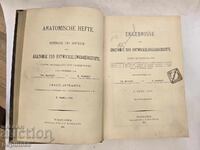 Anticariat carte medicală germană (1901) - Anatomische H
